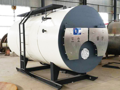 燃氣蒸汽鍋爐