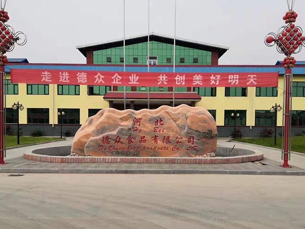 河北德衆食品有限公司4T蒸汽鍋爐