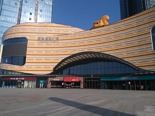 湖北鹹甯同惠國際廣場1.5T真空鍋爐