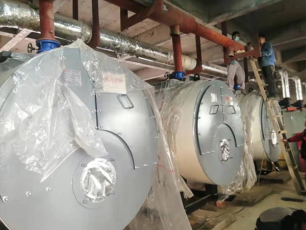 青海互助縣園丁小區4T熱水鍋爐